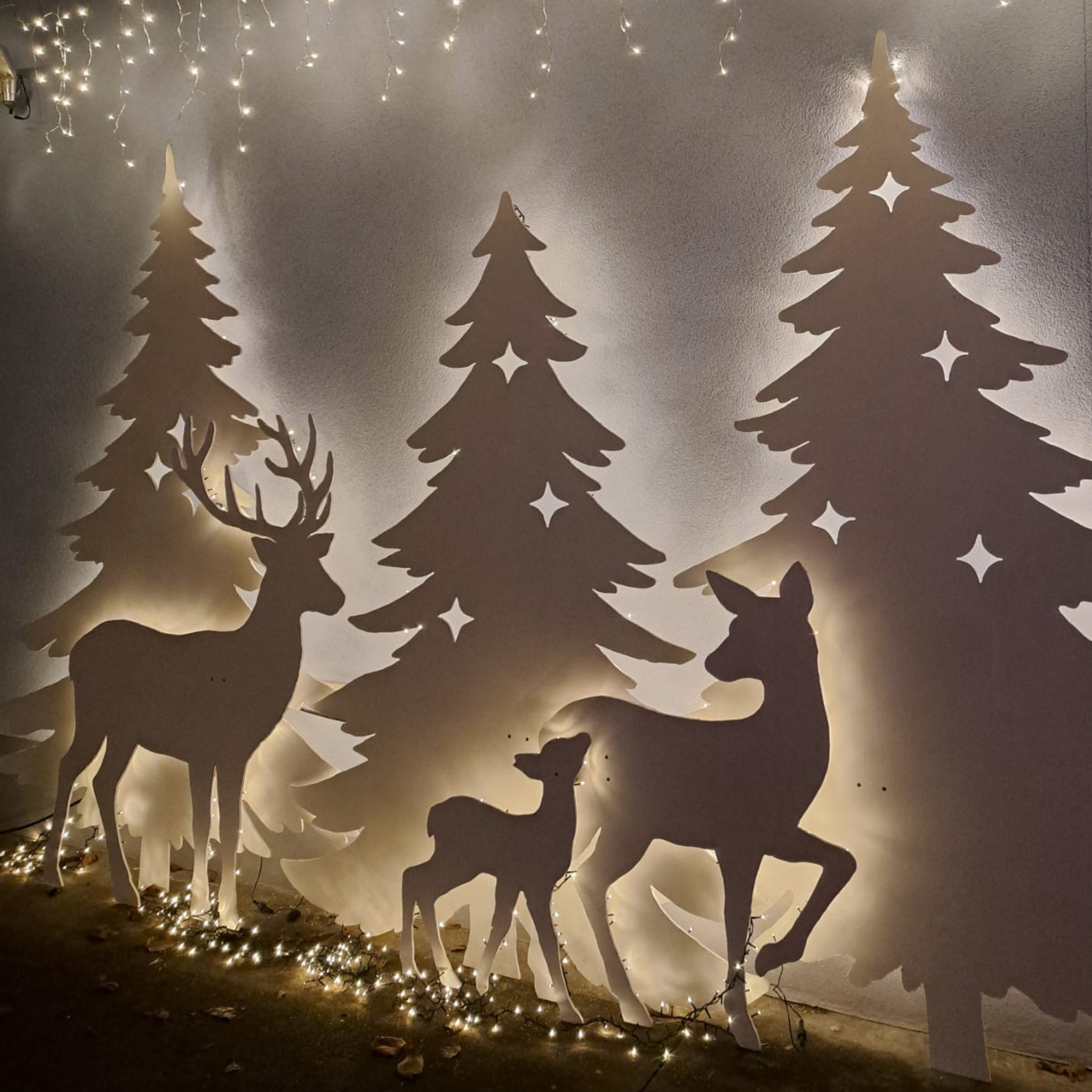 Weihnachtshaus Bad Rodach(2)