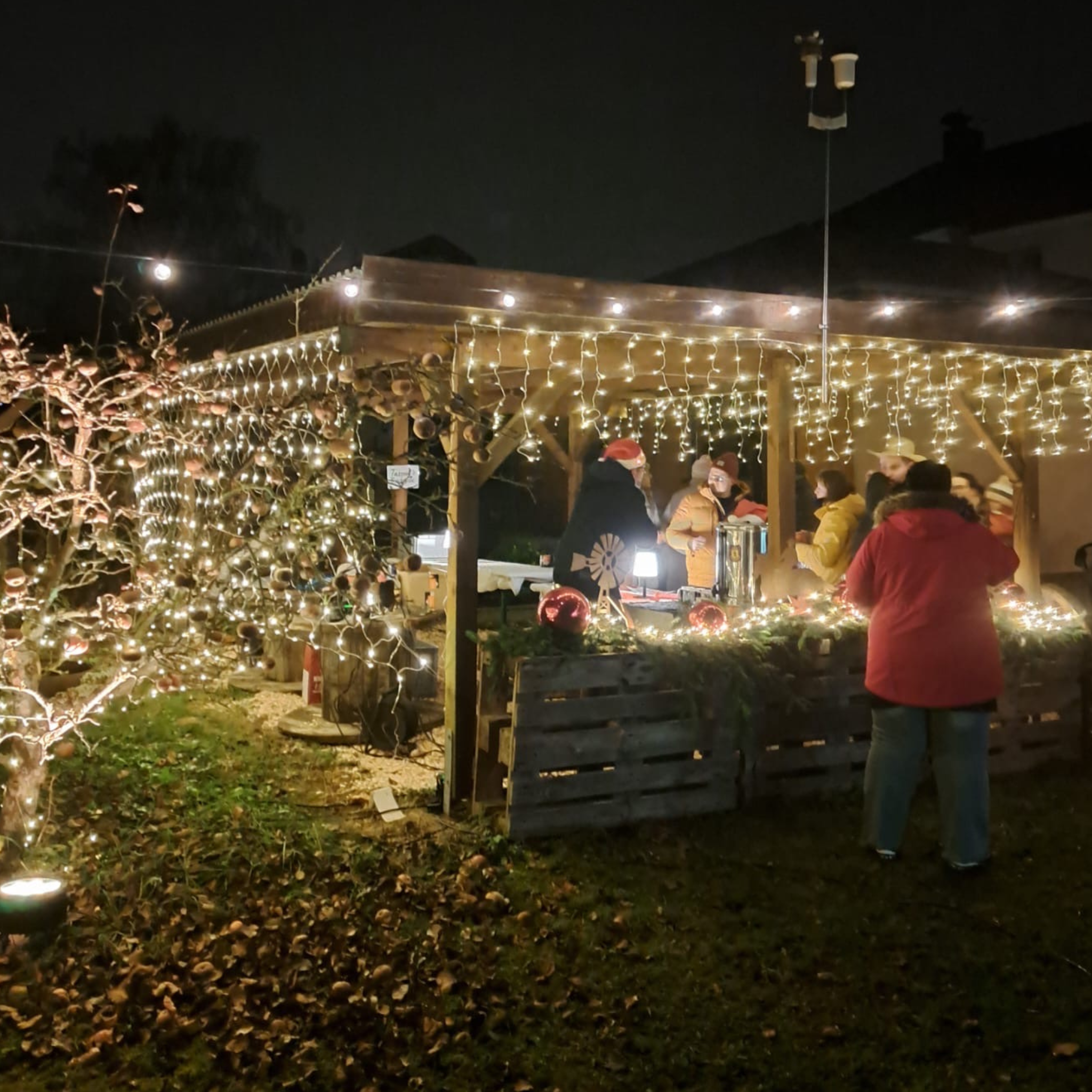 Weihnachtshaus Bad Rodach(5)